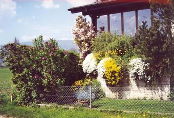 Das Dackelhaus im Garten